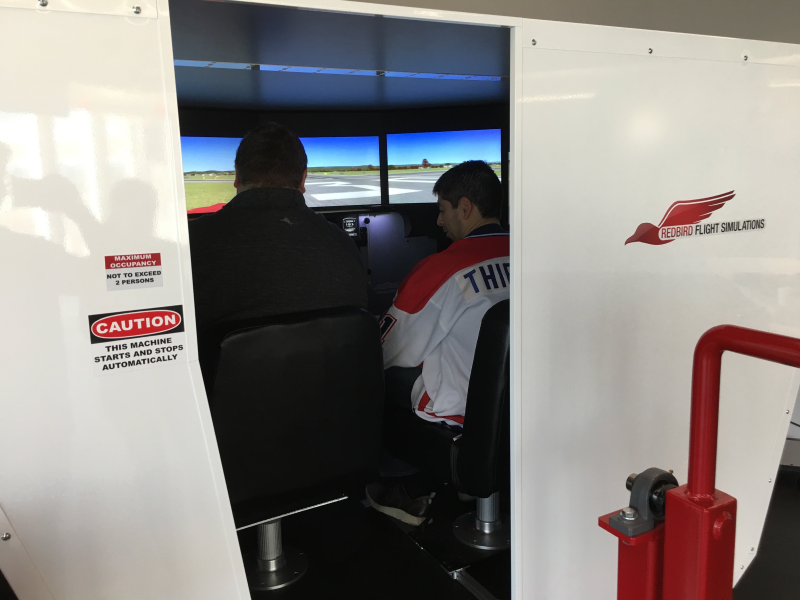 Flight simulator